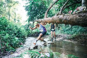 BIB: 
                            <button type="button" onclick="openModal(25433109)" class="btn btn-primary btn-sm float-right btn-popup" data-toggle="modal" data-target=".modal-high-quality">
                        <i class="fas fa-shopping-cart"></i> Add to Cart
                    </button>
                                            <button type="button" onclick="isThisMe(25433109, true)" class="btn btn-success btn-sm float-right btn-popup btn-isme hidden" data-toggle="tooltip" data-placement="bottom" title="นี่คือรูปของคุณใช่ไหม คลิกที่นี่เพื่อเอาเข้าอัลบั้ม">
                        <i class="fas fa-plus"></i> Add to album
                    </button>
                    <button type="button" onclick="isThisMe(25433109, false)" class="btn btn-warning btn-sm float-right btn-popup btn-isnotme hidden">
                        <i class="fas fa-ban"></i> Remove from album
                    </button>